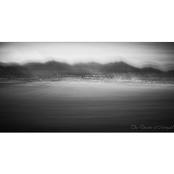 dailyPhoto37